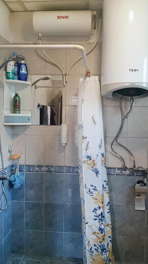 Дионея Belogradtsjik Buitenkant foto