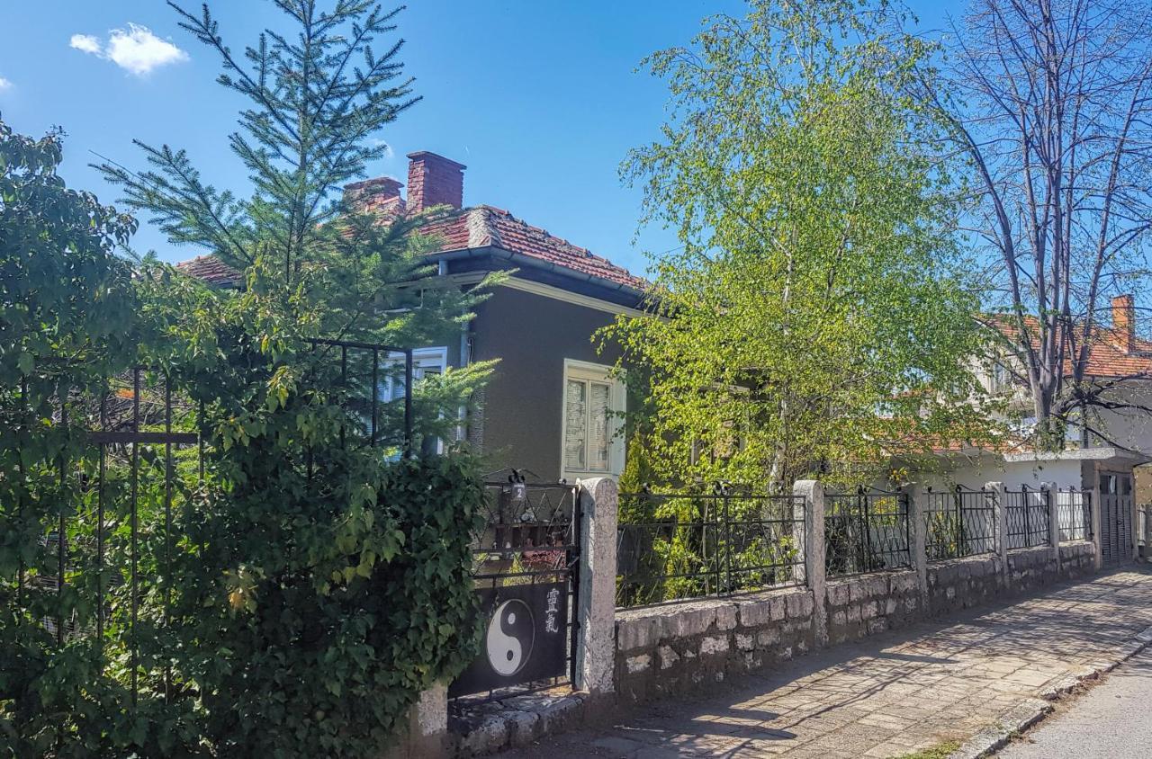 Дионея Belogradtsjik Buitenkant foto