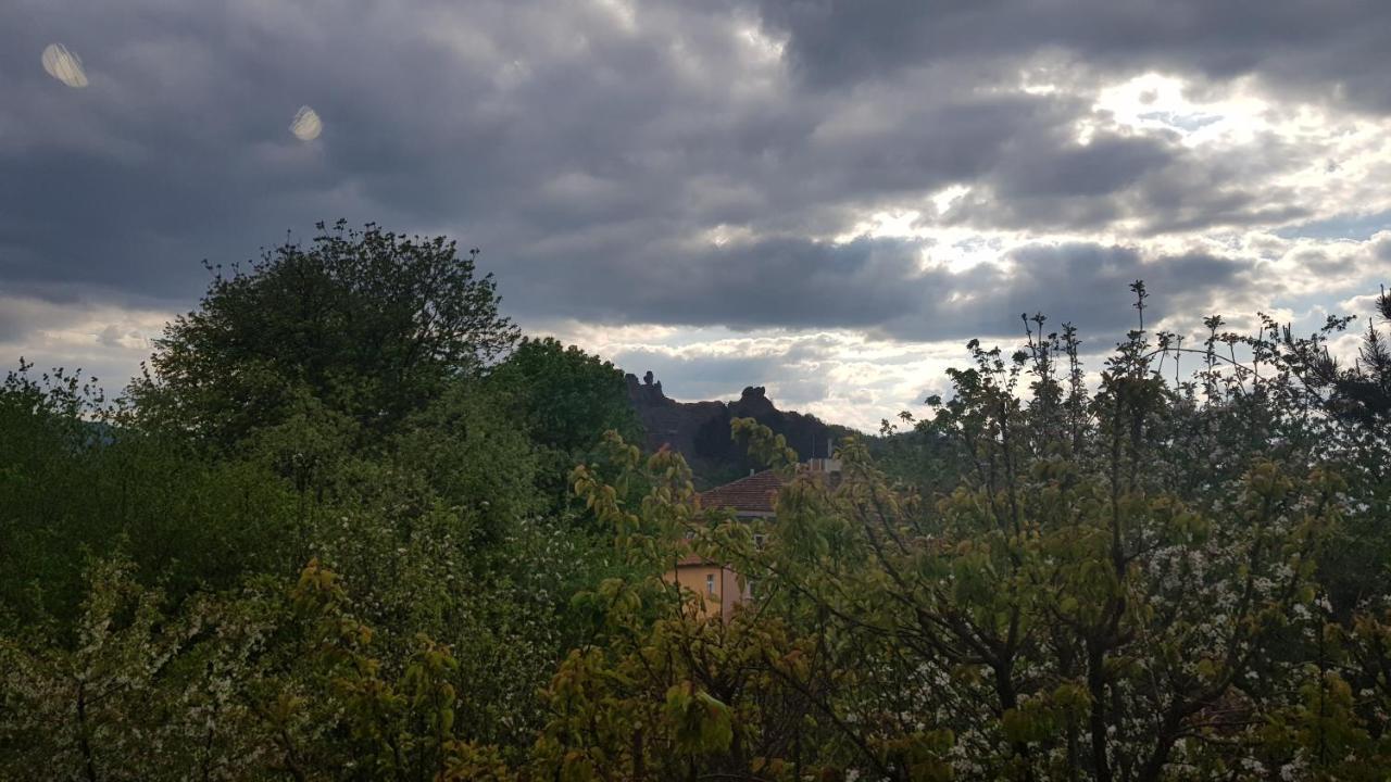 Дионея Belogradtsjik Buitenkant foto